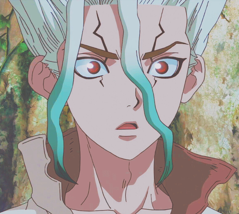 《Dr.Stone 石纪元》
第 十 二 集