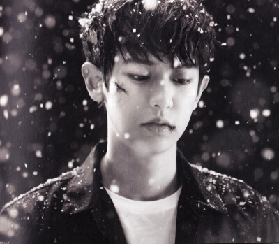 这个世界或许残酷，但是并不丑陋。