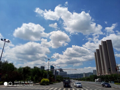 美麗的風景