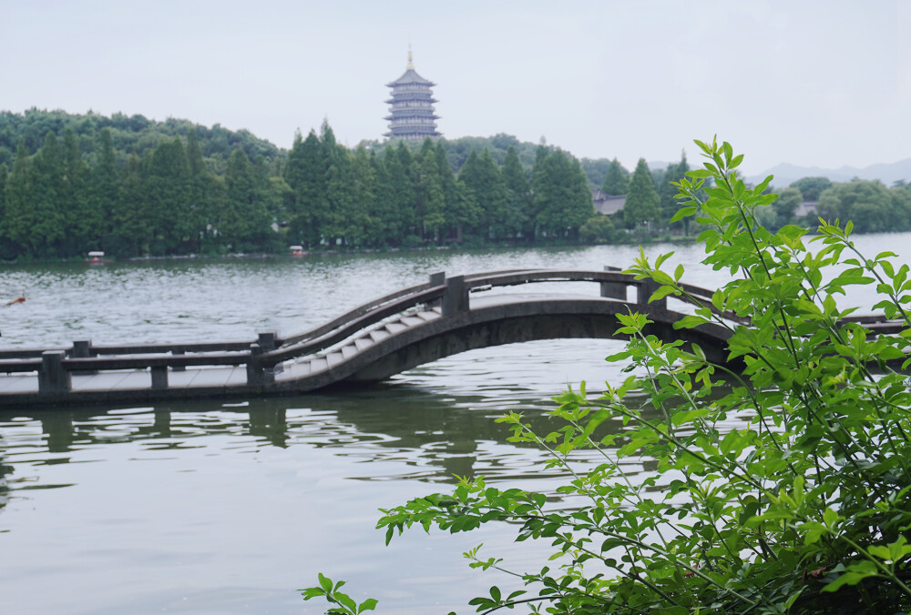 葱包烩 桂花糕 西湖 