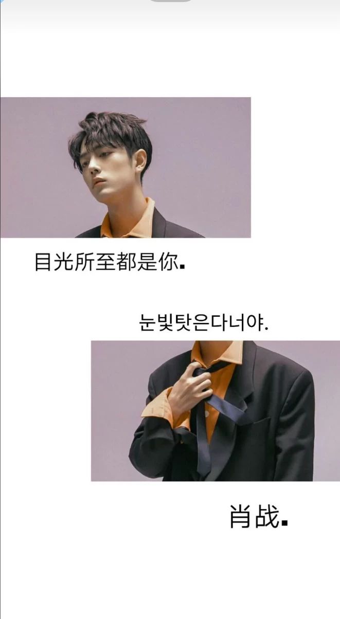 肖战王一博 壁纸