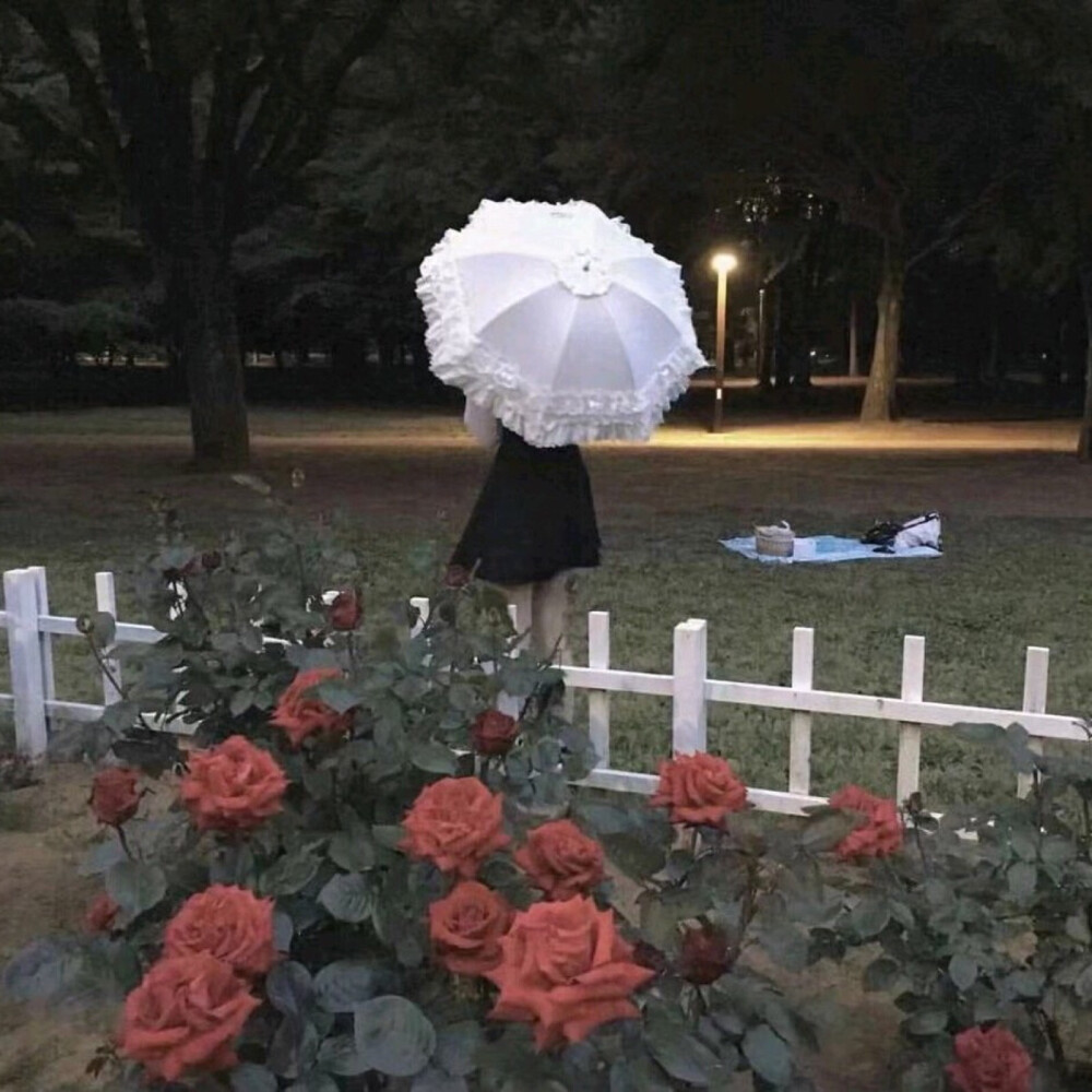 ■ 煙花接二連三鋪上黑夜