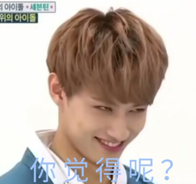 Seventeen 表情包
克拉可爱的幼鹅园小盆友啊