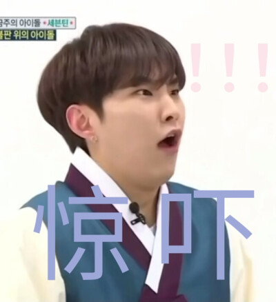 Seventeen 表情包
克拉可爱的幼鹅园小盆友啊