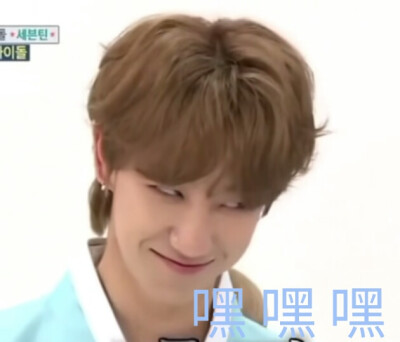 Seventeen 表情包
克拉可爱的幼鹅园小盆友啊