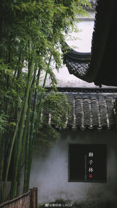 庭院
