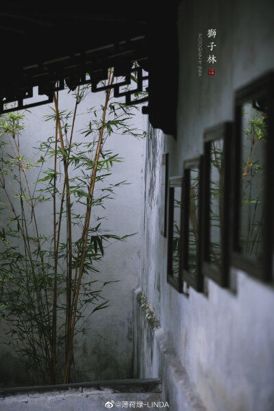 庭院