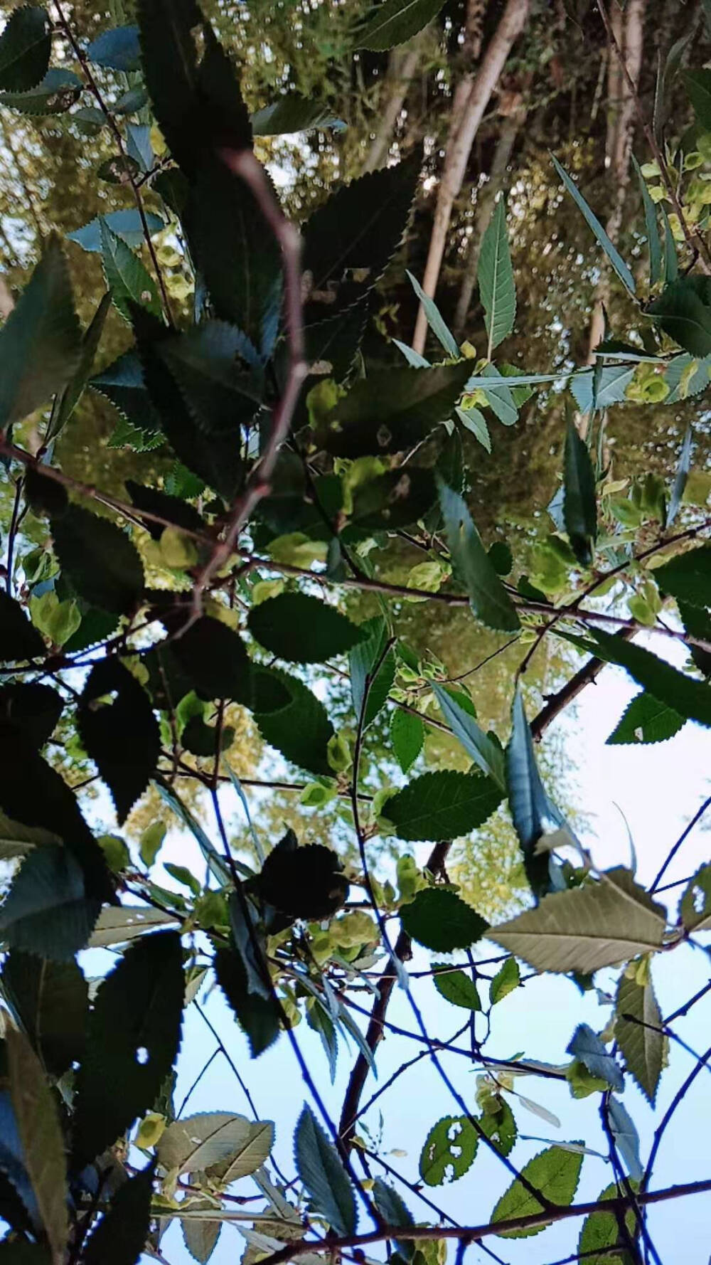 你站的地方，是我最想到达的终点！
♡
你走的方向，是我最想选择的旅途！