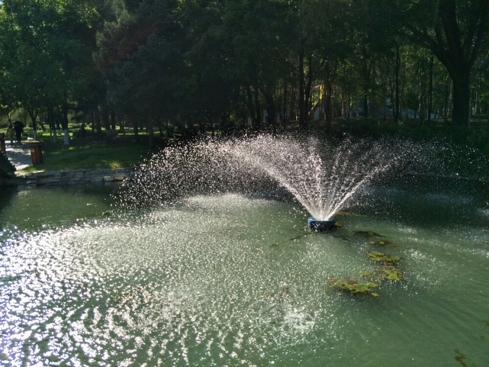 太阳岛