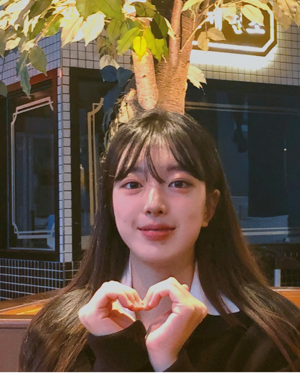 你们也会爱芒果养乐多吗？