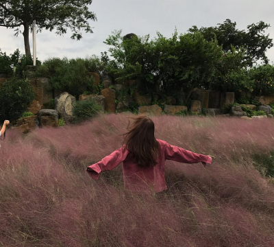 你们也会爱芒果养乐多吗？