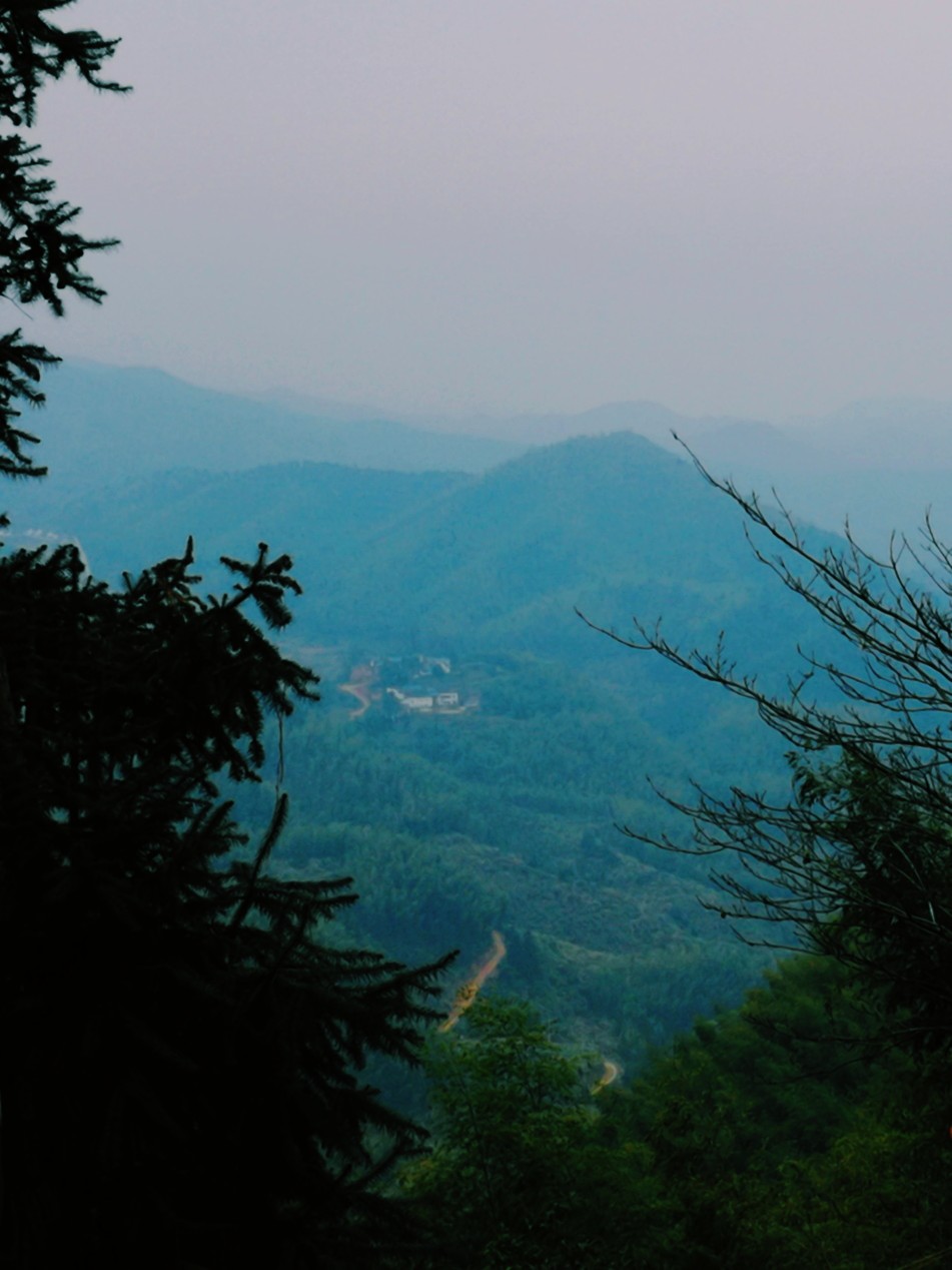 竹林深处有人家 摄于2019.01.27 北山