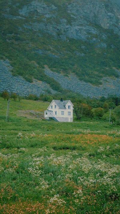 风景 壁纸