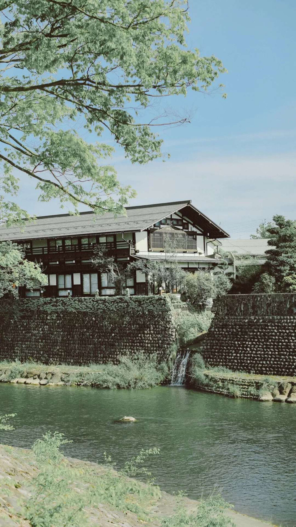 壁纸