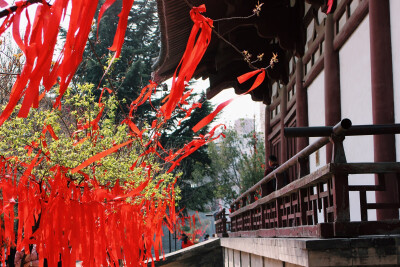 青龙寺