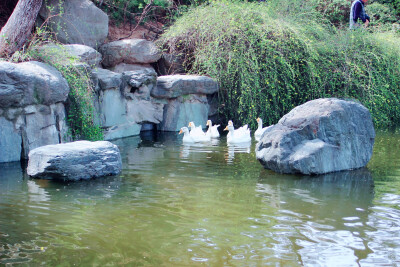 青龙寺