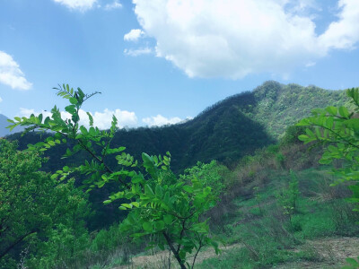 西寺沟