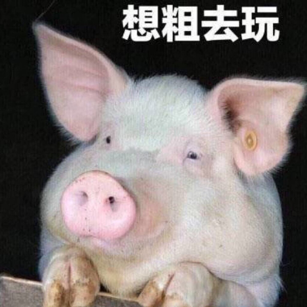 沙雕头像