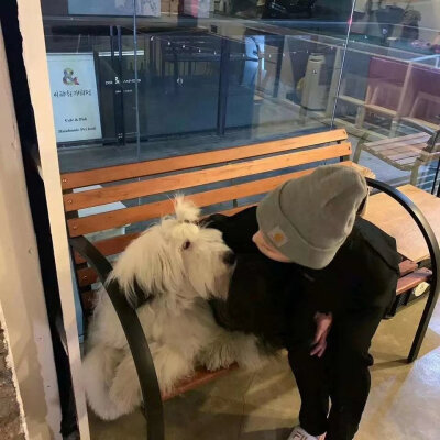 ▷头像，▷戳赞收获美满