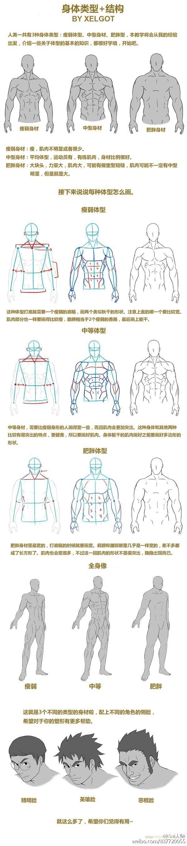 人體肌肉