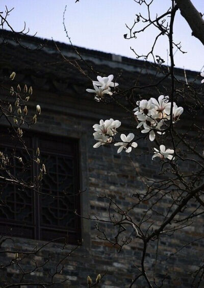 繁花似锦