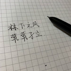 林下之风 茕茕孑立