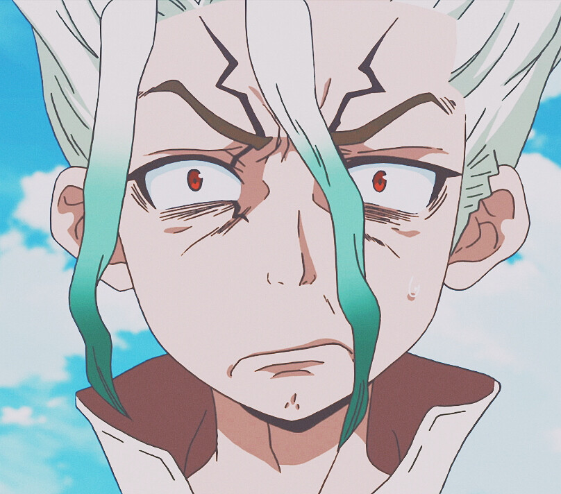 《DR.STONE 石纪元》
第 十 三 集