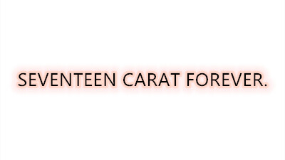 破100收藏啦~感谢~
以后也请继续SEVENTEEN CARAT FOREVER吧~