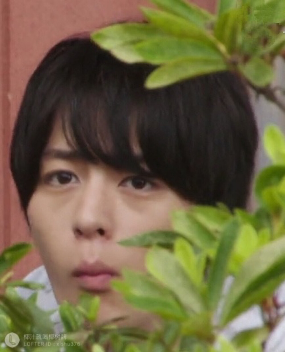 恰e兔吗「小声」