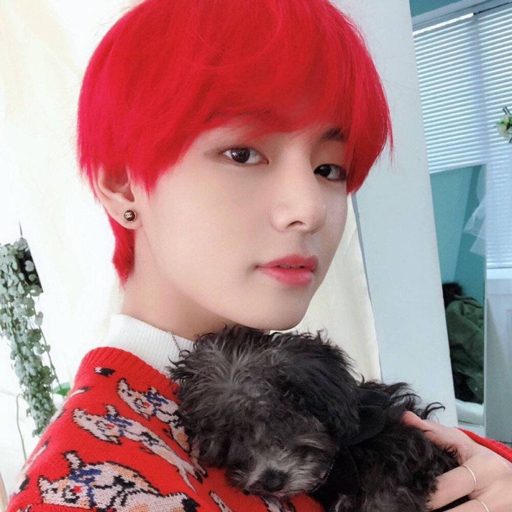 金泰亨! 红发真绝