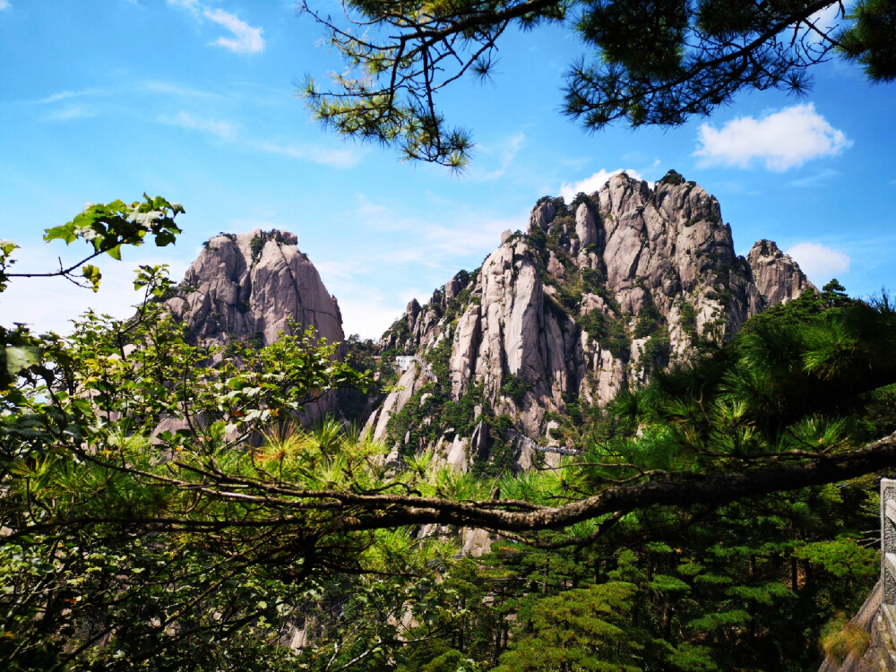 大美黄山—五岳归来不看山，黄山归来不看岳！
观黄山，天下无山，观山止矣--徐霞客