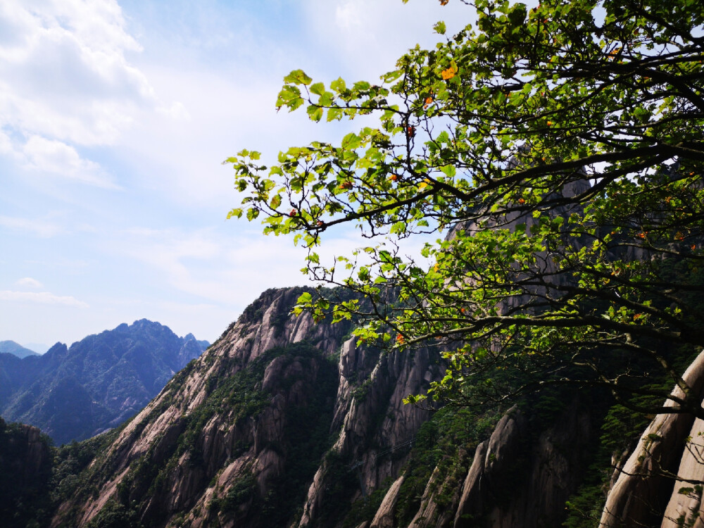 大美黄山—五岳归来不看山，黄山归来不看岳！
观黄山，天下无山，观山止矣--徐霞客