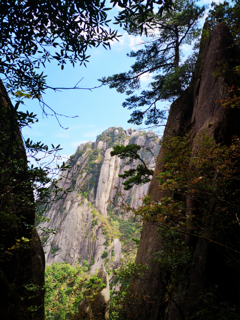 大美黄山—五岳归来不看山，黄山归来不看岳！
观黄山，天下无山，观山止矣--徐霞客