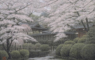 澁澤卿 ​​​​