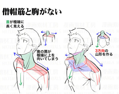 肩颈