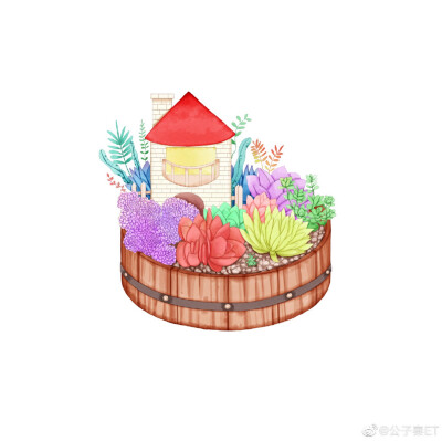 手绘可爱多肉 头像