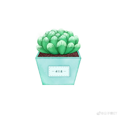 手绘可爱多肉 头像