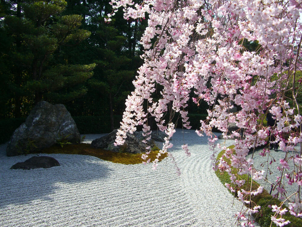 景观设计枯山水