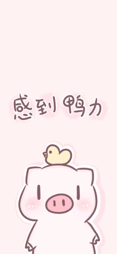 猪猪妹～～可爱爱的小猪猪壁纸