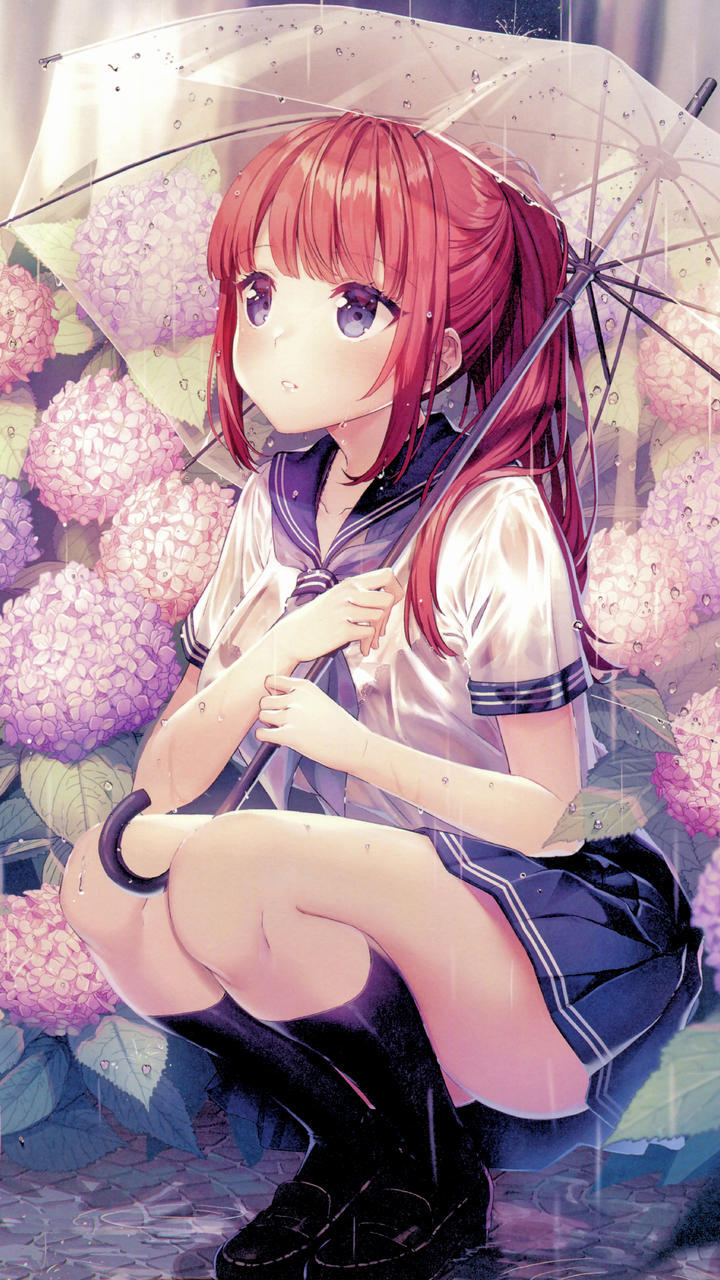 我仅是不愿，见寓意着圆满的合欢，晚景凄凉。