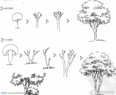树的简约画法。