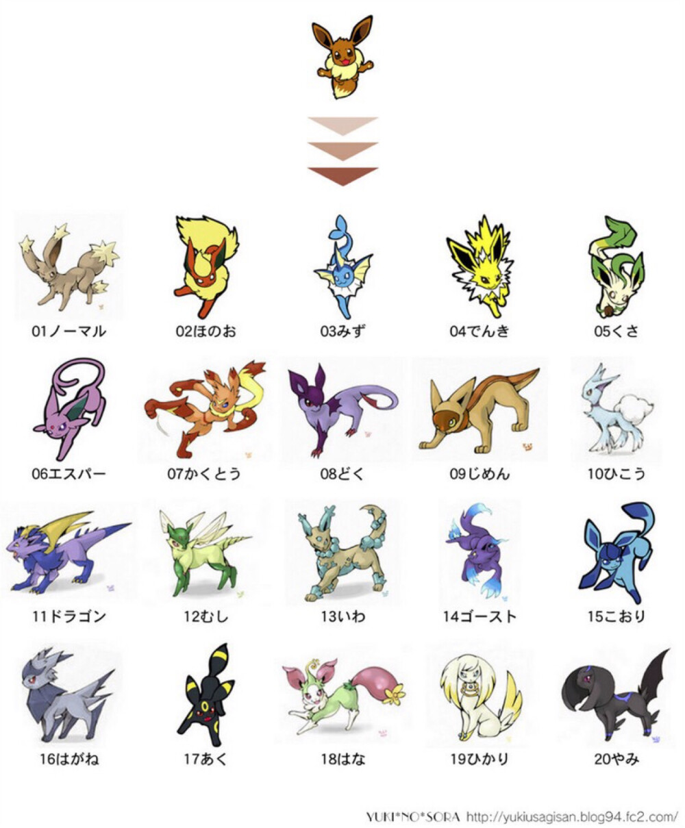 伊布进化图