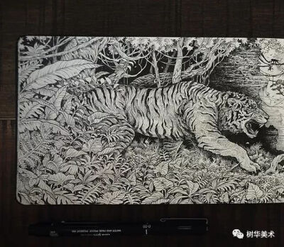 这里看到的是Kerby Rosanes 