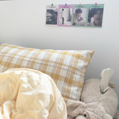 dt小熊不要偷吃