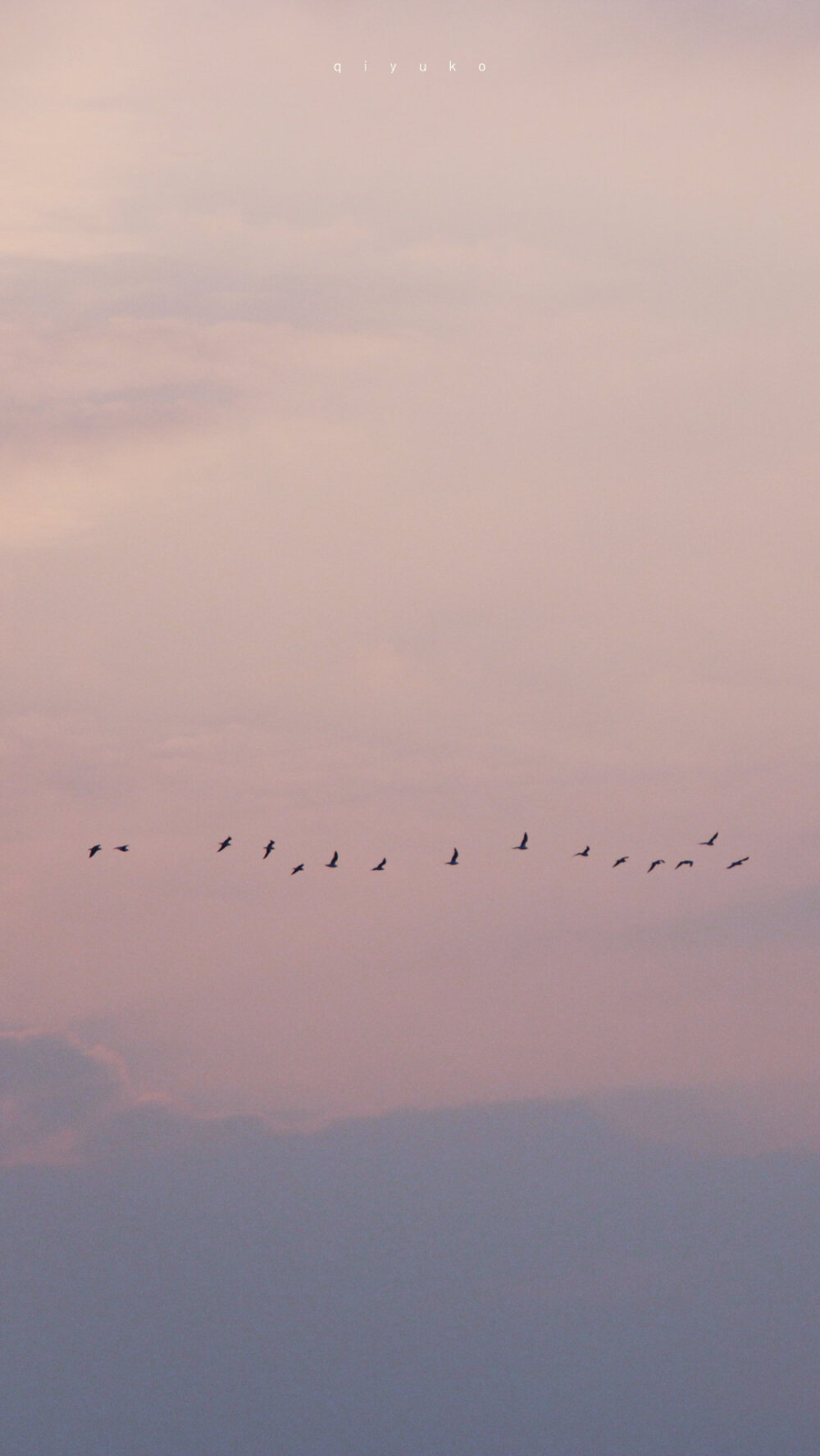 「 倾倒天空的温柔 」 ​​​