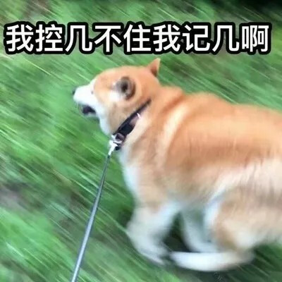 搞笑情侣头像