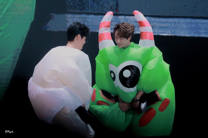 博君一肖丨这是什么小可爱