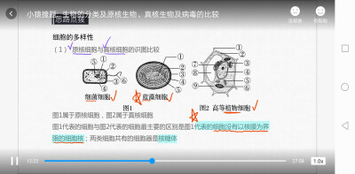 生物知识点