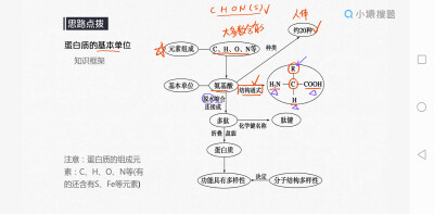 生物知识点