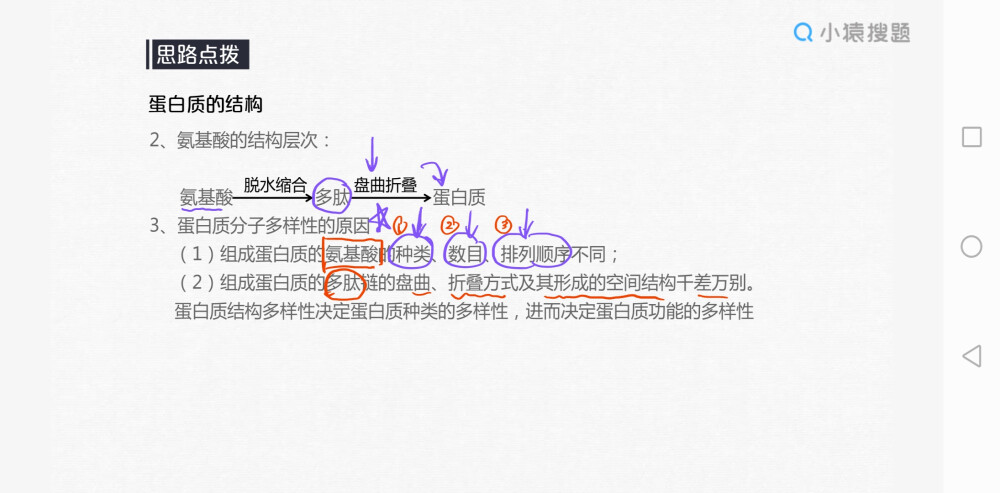 生物知识点